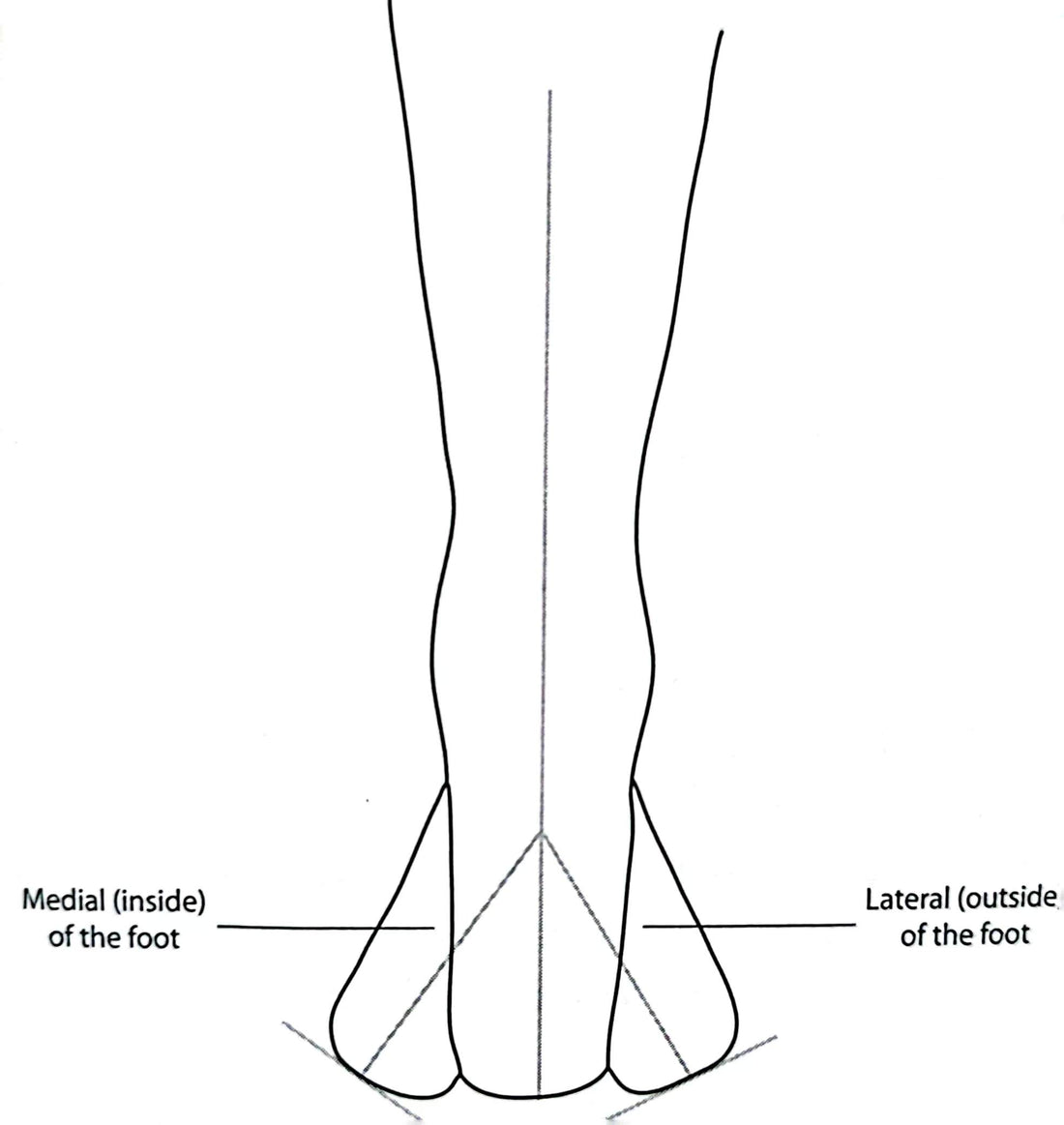 what is the body's midline ?