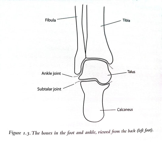 what are the best  for plantar fascitis